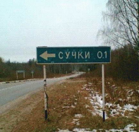 И где нет только сучек?:))))