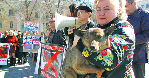 Митинг защитников бездомных животных прошел в Астрахани. 15 марта 2015 г. Фото Вячеслава Ященко для "Кавказского узла"