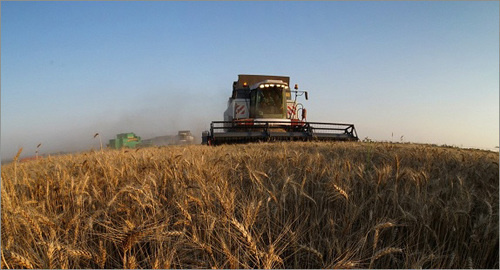 Сбор урожая. http://agroinfo.com/rosagrolizing-pomog-agrariyam-kryma-provesti-uborku-zernovyx-2509201505/