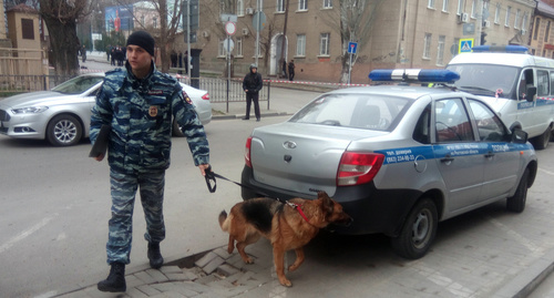 Кинолог на месте взрыва в Ростове-на-Дону
Фото Константина Волгина для "Кавказского узла"