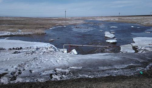 Паводок в Михайловском районе. Фото пресс-службы администрации Волгоградской области. http://www.volgograd.ru/news/181586/