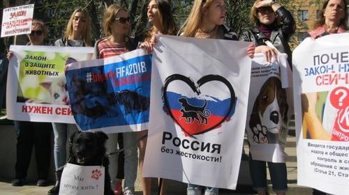 Митинг зоозащитников в Ростове-на-Дону. 14 апреля 2018 года. Фото Константина Волгина для "Кавказского узла"