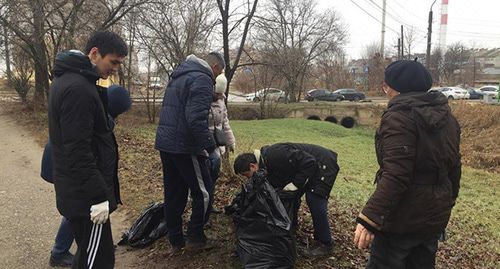 Жители Элисты убирают город. Фото предоставлены участницей уборки Сагларой Бахниковой