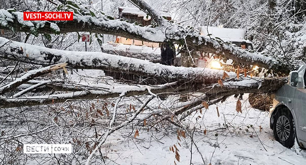 Последствия снегопада. Фото: https://vesti-sochi.tv