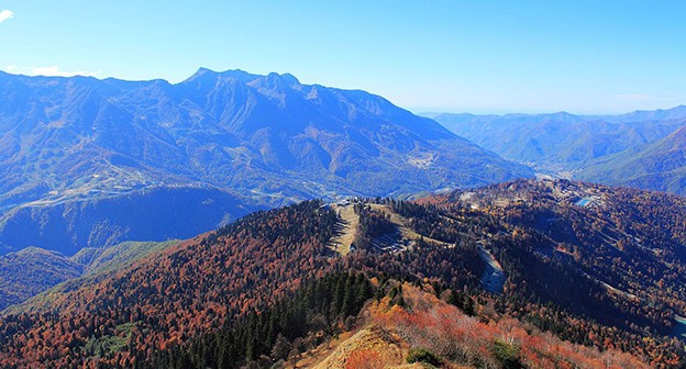 Сочинский нацпарк. Фото: SKas. https://ru.wikipedia.org/