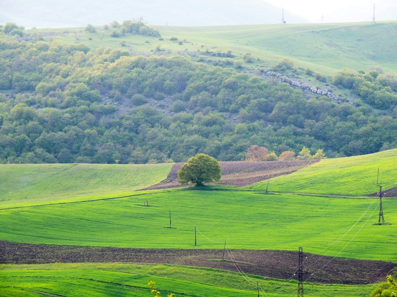 Фото ассорти.