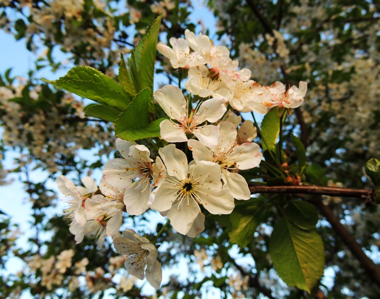 Фото ассорти.